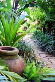 From the initial design phase to final construction, he will ensure you receive top quality products and workmanship. 25 Cold Hardy Tropical Plants To Create A Tropical Garden In Cold Climate Tropical Garden Design Tropical Landscaping Garden Tropical