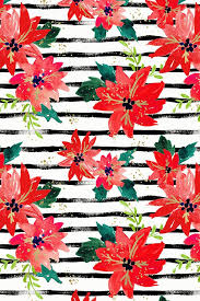 Black And White Strips Background Colorful Fabrics Digitally Printed By Spoonflower Poinsettia Stripe Flower Background Wallpaper Flower Wallpaper Flower Drawing