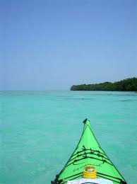 Kayaking In The Keys Sea Kayaking Kayaking Kayaking With Dogs