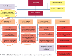 A Organizational Chart Of The Ministry Of Health A