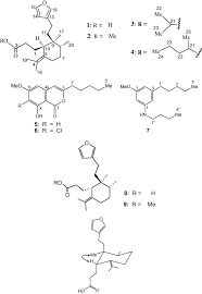Image result for Tessmannia burttii