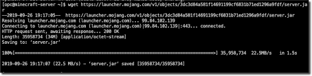 Follow their code on github. How To Setup And Run A Free Minecraft Server In The Cloud Oracle Developers Blog