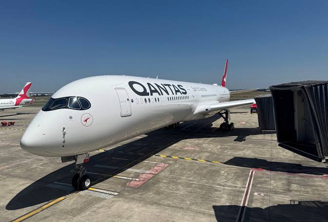 Flight grounded after passengers discover something horrifying crawling around the plane