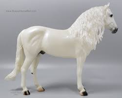 Image result for Thesium breyeri