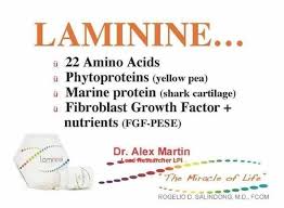 Pin Oleh Ann Byron Di Laminine