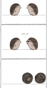 Lets Roll Funny Cute Liz Climo Comics Hedgehog