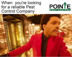 Browse 13,468 post falls, id job listings from companies with openings that are hiring now. Pointe Pest Control Home Facebook