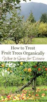 Homegrown fruit is guaranteed to be organic and taste incredible when picked from the tree. How To Treat Fruit Trees Organically When To Spray For Disease Organic Fruit Trees Fruit Garden Plans Fruit Garden