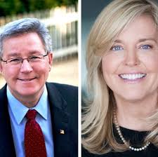 Film incentives, education hot topics in House 20 race