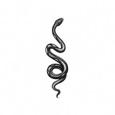 Snake Black Temporary Tattoo Work Snake Temporary Tattoo Traditional Snake Traditional Snake Tattoo Snake Tattoo Snake Tattoo Design