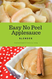 Homemade applesauce is a healthy and delicious snack on its own. Applesauce With Peels Blender Recipe Tessa The Domestic Diva