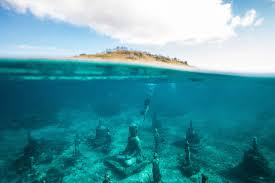 bali-dive-trek-lembongan-background | Bali Dive Trek