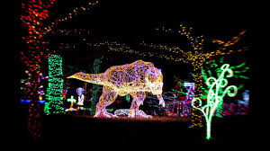 River Of Lights Albuquerque Nm Biopark Youtube