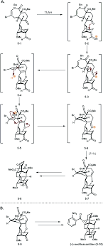 Jun 21, 2021 · rudy winkler set an american record of 82.71 metres in the hammer throw, winning the u.s. An Invocation For Computational Evaluation Of Isomerization Transforms Cationic Skeletal Reorganizations As A Case Study Natural Product Reports Rsc Publishing