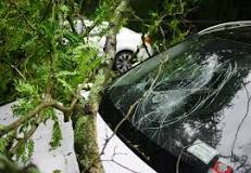 Image result for is a cracked windshield covered under warranty toyota