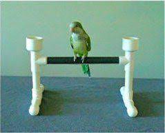 Alternative Uses For Our Pvc Pipes Bird Perch Parrot Bird Parrot Perch