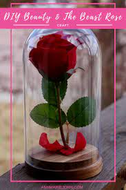 Diy enchanted rose you can use for souvenir or decorations for your room.thanks for watching beauty and the beast enchanted rose diy from the live action beauty and the beast movie. Diy Beauty And The Beast Enchanted Rose Annmarie John