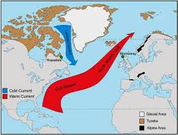 De första moderna människorna ( homo sapiens ) utvecklades i afrika för omkring 200 000 år sedan och kom till europa för cirka 40 000 år sedan. Baggboleri Landgrabbing I En Tidsera Framfor Dig Naturstacken S Blog