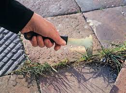 10 Tipps Rund Um Das Gartnern Mit Der Natur Natur Unkraut Garten