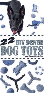 We're dependable like your furry friends, with over 1 million walks tracked! Just Doggin