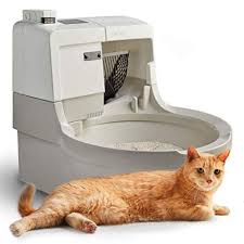 Say see ya! to messy, smelly litterboxes! 6 Best Self Cleaning Litter Boxes Of 2021 Automatic Litter Box For Cats