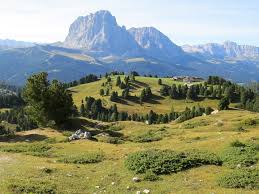 Entdecken sie mit uns die wildnis! Wandern Col Raiser Seceda Tour 136562