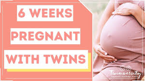 Around 20% of women say they experienced spotting during the first trimester of pregnancy and most of these women go on to have healthy babies, as do around half of all women who have any kind of. 6 Weeks Pregnant With Twins Twiniversity