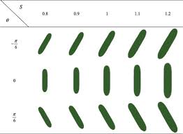 Multi Template Matching Algorithm For Cucumber Recognition