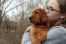 Sage's pink collared girl is looking for a home. We thought we had found a  family for her but it wasn't going to work out for the family last minute.  She is