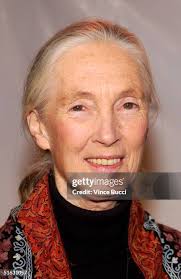 Actor Peter Falk , with wife Shara Denise, greets Doctor Elliot Katz...  News Photo