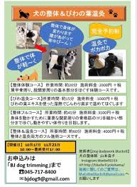 整体 びわの葉温灸イベント At 鶴見 Bj Dog Trimming Dog Bodywork Bluebell