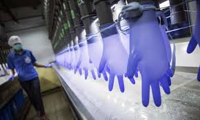 In summary, malaysian labor laws are clear but always under review. Claims That Nhs Rubber Gloves Made By Forced Labour Spark Inquiries Malaysia The Guardian