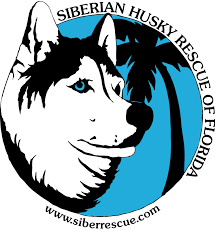 Download alle foto's en gebruik ze zelfs voor commerciële projecten. Pets For Adoption At Siberian Husky Rescue Of Florida Inc In Seminole Fl Petfinder