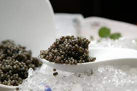 That you do not solely rely on the information. Why Is Caviar So Expensive How Much Is Caviar Caviar S Real Price Caspian Monarque