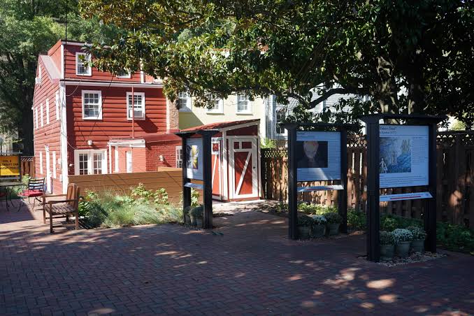 Red House - The Red House