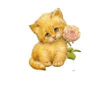 See more ideas about cats and kittens, cute cats, funny animals. Cats Animated Images Gifs Pictures Animations 100 Free