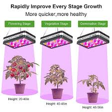 If you vegged under a different light, keep the plants 3 feet away from my leds for 7 full days. 6 Best Led Grow Lights 2021 420 Green Thumb