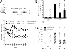 Near mahwah, upper saddle river nj, nyack, & rockland ny. Therapeutic Potential Of Proteasome Inhibitors In Congenital Erythropoietic Porphyria Pnas