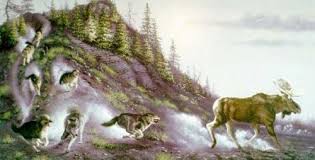 4 Animal Spot The Object Illusions Optical Illusions Art Illusion Paintings Illusion Art