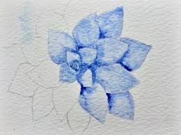 Maybe you would like to learn more about one of these? 99 Insanely Smart Easy And Cool Drawing Ideas To Pursue Now Watercolor Pencil Art Easy Watercolor Watercolor Succulents