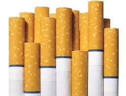 They eat desert vegetation, such as grasses, herbs, and leaves. Who Made That Cigarette Filter The New York Times