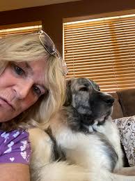 My name is Chantel, The Owner of Nanas House & Pet Sitting. I am insured,  bonded with references for your review. I've developed expertise in  overnight stays, multiple pet households and pets