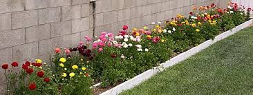 Pin On Garden Diy