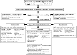 hyponatremia diagnostic algorithm adapted from soiza et al