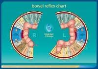 Educational Materials International Iridology