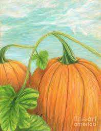 Please pick up your pumpkins today! Pumpkin Patch Drawing By C L Swanner