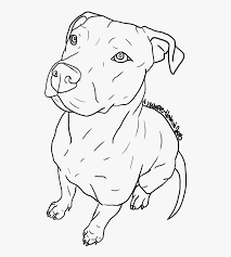 We did not find results for: American Pit Bull Terrier Puppy Drawing Line Art Cute Drawings Of Pit Bulls Hd Png Download Transparent Png Image Pngitem