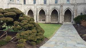 Cloud Pruned Yew Shrubs Are Magnificient Outside Bryn Athyn Cathedral Courtyard Lined By Exuberant Planting Beds In Sum Yew Shrub Bedding Plants Cloud Pruning
