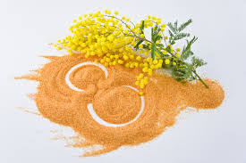 International women's day 2020 theme. Photo March 8 Sand Flower Acacia Dealbata Holidays