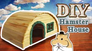 How to make a hamster house by using popsicle stick tools: Hamster House Diy Cheap Buy Online